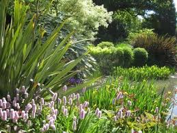 Beth Chatto Gardens Essex Beth Chatto English Garden Design Temple Gardens