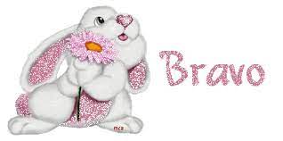 Файл:Браво кролик.gif &amp;mdash; Vladimir