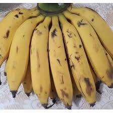 Setelah dijemur, pisang sale bisa langsung dimakan ataupun digoreng dengan menggunakan balutan adonan tepung terlebih dahulu. 1 Pisang Raja Uli