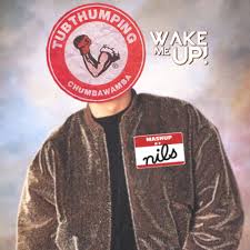 Account security keeping your account safe roblox support. Avicii Vs Rick Astley Never Gonna Wake You Up Get Knocked Down Nilsofficial Mashup By Nilsofficial