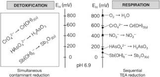 It is a polymer with an undefined structure and low solubility. Speciation Dynamics Of Oxyanion Contaminants As Sb Cr In Argillaceous Suspensions During Oxic Anoxic Cycles Sciencedirect