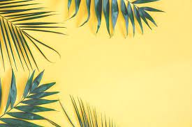 Tropical Palm Leaves Stock Photo Containing Summer And Background Computer Wallpaper Desktop Wallpapers Laptop Wallpaper Desktop Wallpapers Wallpaper Notebook