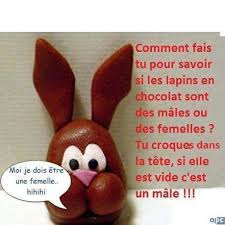 Pour Les Lapines Joyeuses Paques Lapin De Paques Lapin En Chocolat