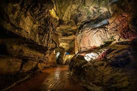 Check spelling or type a new query. Explore Howe S Cave Ny Cave Tours Fossils Gemstone Mining At New York State S 2 Attraction
