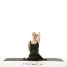 Yoga Pose Cow Face Pose Gomukhasana Cow Face Pose Yoga Poses Poses