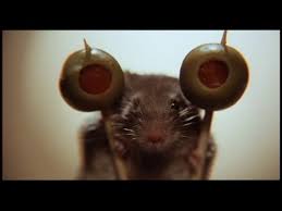 Watch movies on youtube in full length and for free, films online, short film, thriller movie, english flick, entire feature film. Mousehunt 1997 Teaser Trailer Youtube