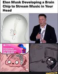 Elon Musk Developing A Brain Chip To Stream Music In Your Head Of For 0 99 Ifunny Funny Relatable Memes Really Funny Memes Stupid Funny Memes