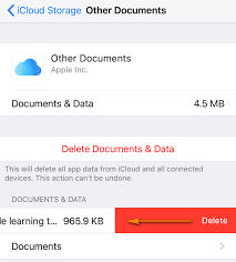 Icloud Storage Is Full 7 Tips On How To Clear Icloud Storage