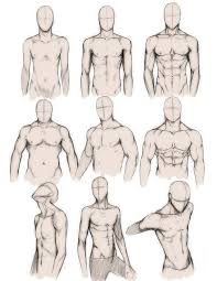 There are, however, many variations among real people, male and female. Male Torso Drawing Reference And Sketches For Artists