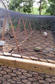 Keep small pets (cats, small dogs and other pets) indoors from dusk until dawn. Overrun How I Made My Chicken Run Predator Proof My Pet Chicken Blog