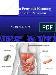 Jan 08, 2021 · makanan harus dimasak atau didinginkan secepat mungkin. Diet Kantung Empedu Dan Pankreas Pdf Pdf