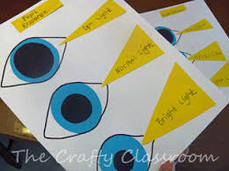 Dump your glasses, avoid the laser and recover your natural eyesight. Human Eye Crafts Activities Human Body Activities Human Body Unit Study Science Crafts