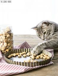 However smoked salmon consists of sodium nitrate, therefore you need to be cautious. Homemade Cat Treats Recipe 3 Ingredient Salmon Cat Treats