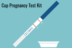 Our pregnancy testing is 99% accurate and laboratory quality. Prega News Pregnancy Test Kit Use Accuracy How To Interpret Results Being The Parent