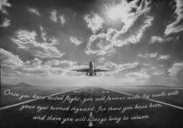 Once You Have Tasted Flight Walk The Earth Nature Photography Bristol Board