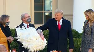 Arpaio hadn't applied for the pardon. As He Ignores Election Defeat Trump Pardons Turkey Abc News