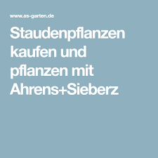 Staudenpflanzen Kaufen Und Pflanzen Mit Ahrens Sieberz Pflanzen Gartenstauden Stauden