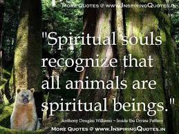 Animal Quotes Page 21 Spirituality Animal Quotes Nature Quotes