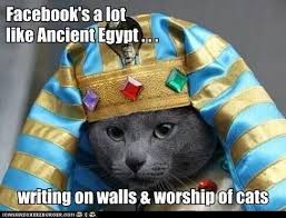 Facebook S A Lot Like Ancient Egypt Writing On Walls And Worship Of Cats Funny Animals Funny Cat Pictures Crazy Cats