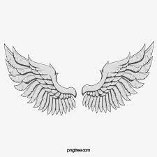Alas De Angel Pintadas A Mano Angel Clipart Clipart De Alas Ala Png Y Psd Para Descargar Gratis Pngtree Angel Wings Illustration Angel Wings Png Wings Png