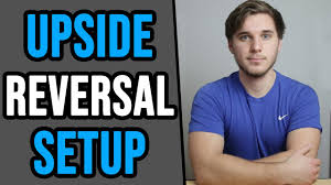 نتیجه جستجوی لغت [reversal] در گوگل