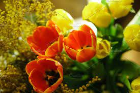 Flower Bouquet Tulips And Mimosa Flower Bouq Flowers Bouquet Mimosa Flower