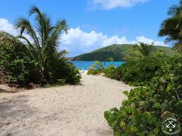 Verified reviews · 24/7 live support · a tripadvisor company Flamenco Beach In Culebra Puerto Rico Ranked As The 5th Best Beach In The World Picture Of El Navegante De Culebra Puerto Rico Tripadvisor