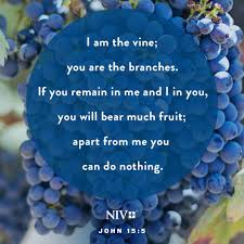 I am the vine; you are the branches. If you remain in me and I in you, you  will bear much fruit; apart from me you can do nothing."
