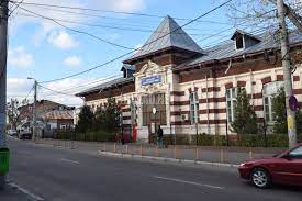 Asistent social comunitar în primăria glinjeni. Directia De Asistenta Sociala Buzau Buzau Institutii Publice Private Directii