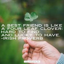 275 Friendship Quotes To Warm Your Best Friend S Heart Your friendship is nothing but an inspiration for me to be happy in life! 275 friendship quotes to warm your best