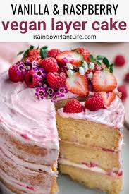 Vegan Vanilla Layer Cake With Raspberry Jam Rainbow Plant Life Recipe Vegan Baking Recipes Vegan Vanilla Cake Vegan Cake Recipes