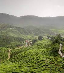 Farmers arcade cameron highlands, 39000 brinchang, cameron highlands, pahang. Tempat Menarik Di Cameron Highlands Cameron Highlands Tea Estate Places To Visit