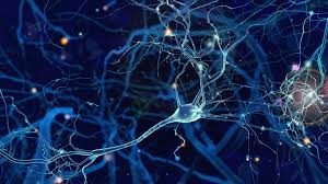 Typically, both sides of the body are involved. Sars Cov 2 Kann Guillain Barre Syndrom Auslosen 2020 Wiley Analytical Science