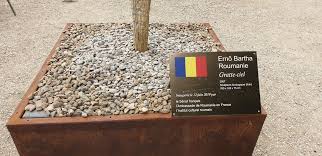 Institutul cultural roman promoveaza valorile autentice, dialogul intre culturi, identitatea culturala a romanilor din jurul granitelor sau stabiliti pretutindeni in. O SculpturÄ Din Fan A Unui Roman ExpusÄ In GrÄdinile Luxembourg Din Paris