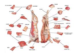 Les Parties Du Boeuf Passion Cuisine Viande Boeuf Boeuf Boucherie
