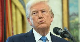 Chris Boeskool (@theboeskool.bsky.social) — Bluesky