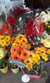We did not find results for: Focal Point Styling Around Town Fresh Flowers Trader Joe S