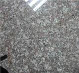 G664 Granite Slabs, China Red Granite, Chinese Cheap Luoyuan Red Stone, Hot  Sell All over the World from China - StoneContact.com