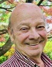 Albert John Murelli Sr. Obituary (2022)