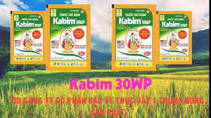 Kabim 30WP