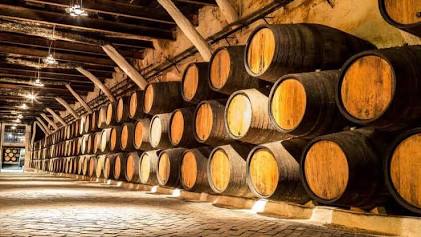 Caves de Vinho do Porto em Gaia, AI generated