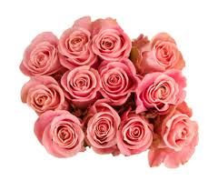 Thu gom đơn hàng selecting and assembling items from stock for shipments. Floral Arrangements In Floral Department Pick N Save
