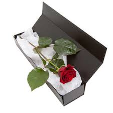 Within the united states, all of our specialty gifts, flowers, and plants are delivered by fedex®, ups®, or usps®. You Re The One Flowers Delivered Edinburgh Flower Shop Flowers Buy Delivery