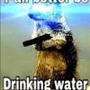 Best cat water fountains that are battery operated. 1