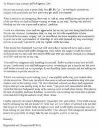 Do you believe in taking care of pets after hours? Pet Urgent Care 428 W 800 N Orem Ut Veterinarians Mapquest