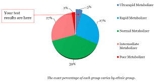 Cytochrome P450 2c19 Cyp2c19 Ultrarapid Metabolizer