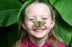 NOW OPEN. All New Petting Zoo...