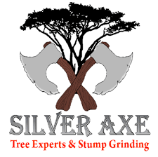 The map above shows which areas in decatur, ga are expected to suffer the greatest economic overall, the economic impact to decatur is expected to be significant, but less severe than the rest of. Top 10 Best Tree Removal Services In Decatur Ga Angi Angie S List