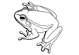 200+ vectors, stock photos & psd files. 32 Bullfrog Coloring Pages Ideas Coloring Pages Bullfrog Coloring Pictures