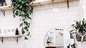 Some beauty schools are open on sundays depending how desperate you are to get your hair done. Petition Open Up Our Hair Salons One Client At A Time Soft Opening April 30th 2020 Change Org